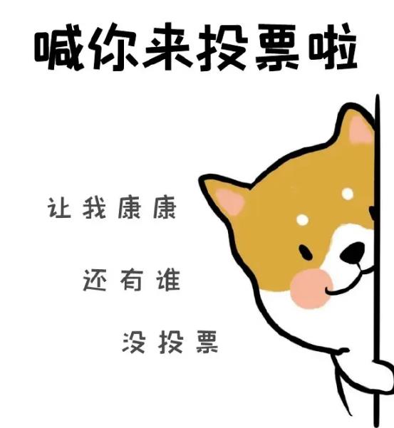 人工拉票团队,投票人工团队,人工拉票后台可以查出来吗